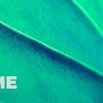 Media Name: green-hotel-article.jpg